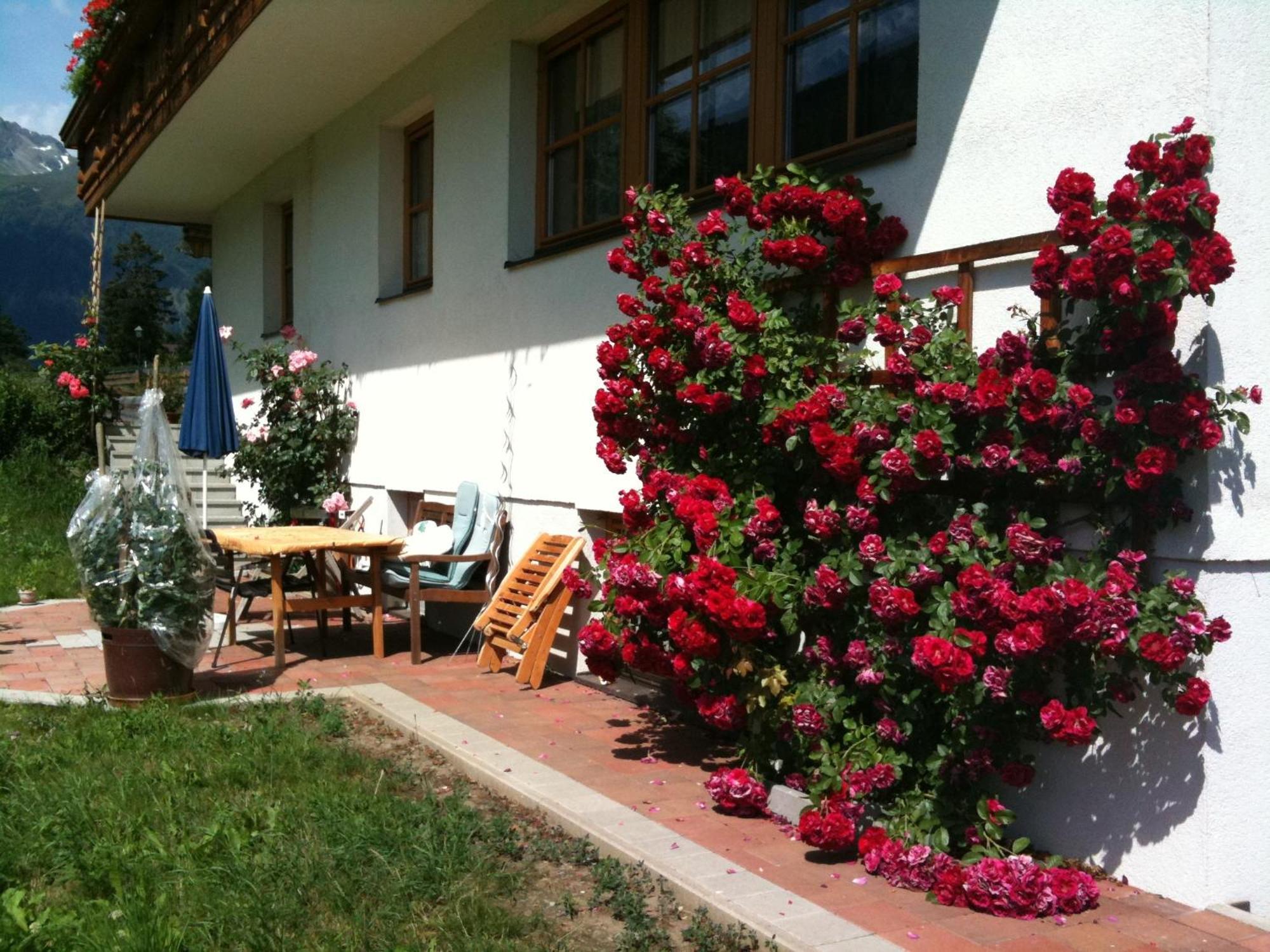Bacherhof Вирген Екстериор снимка